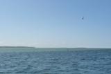 limfjord