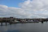 hvide